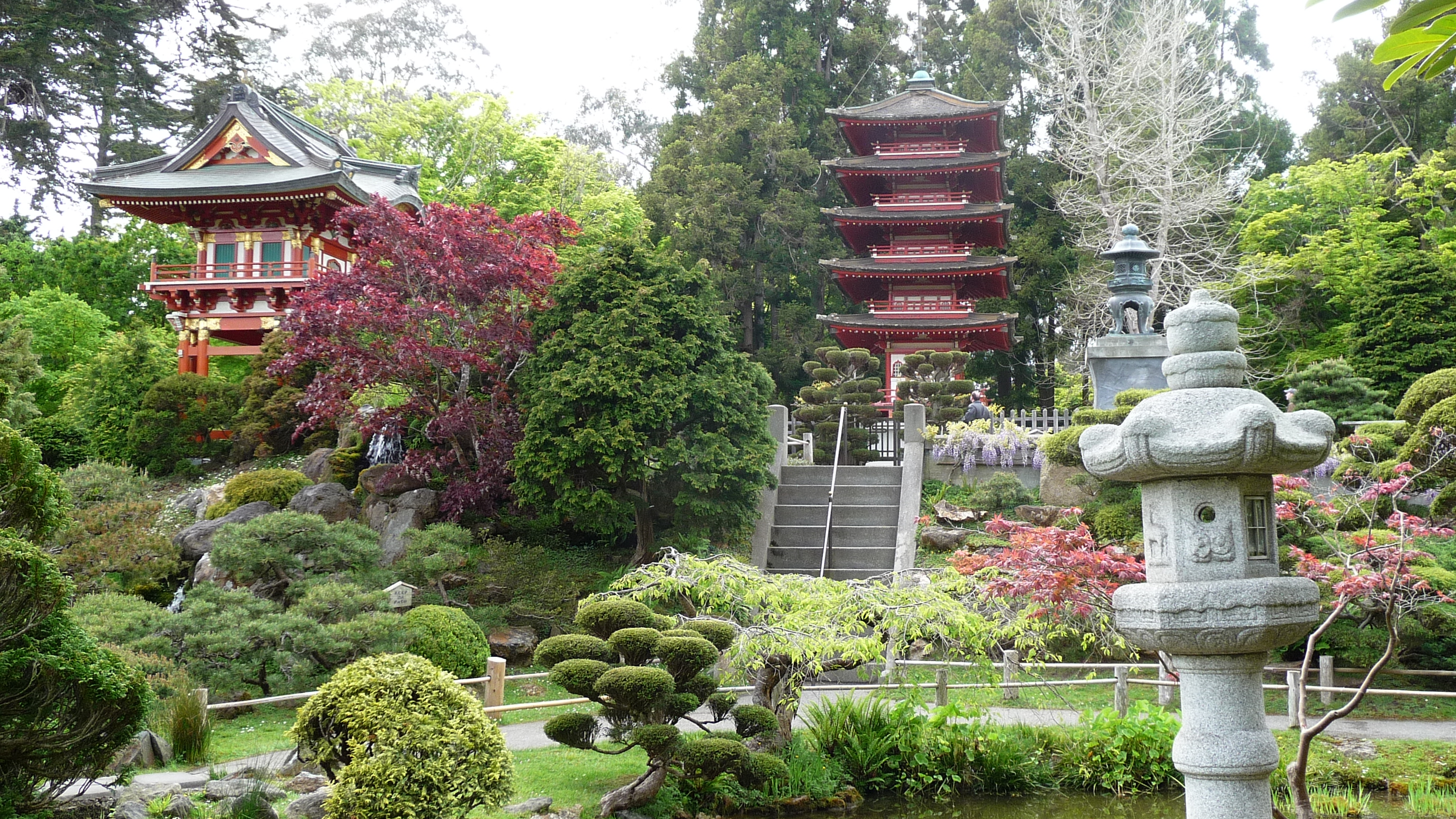 Golden Gate Park And The Japanese Tea Garden Chaumai S Weblog